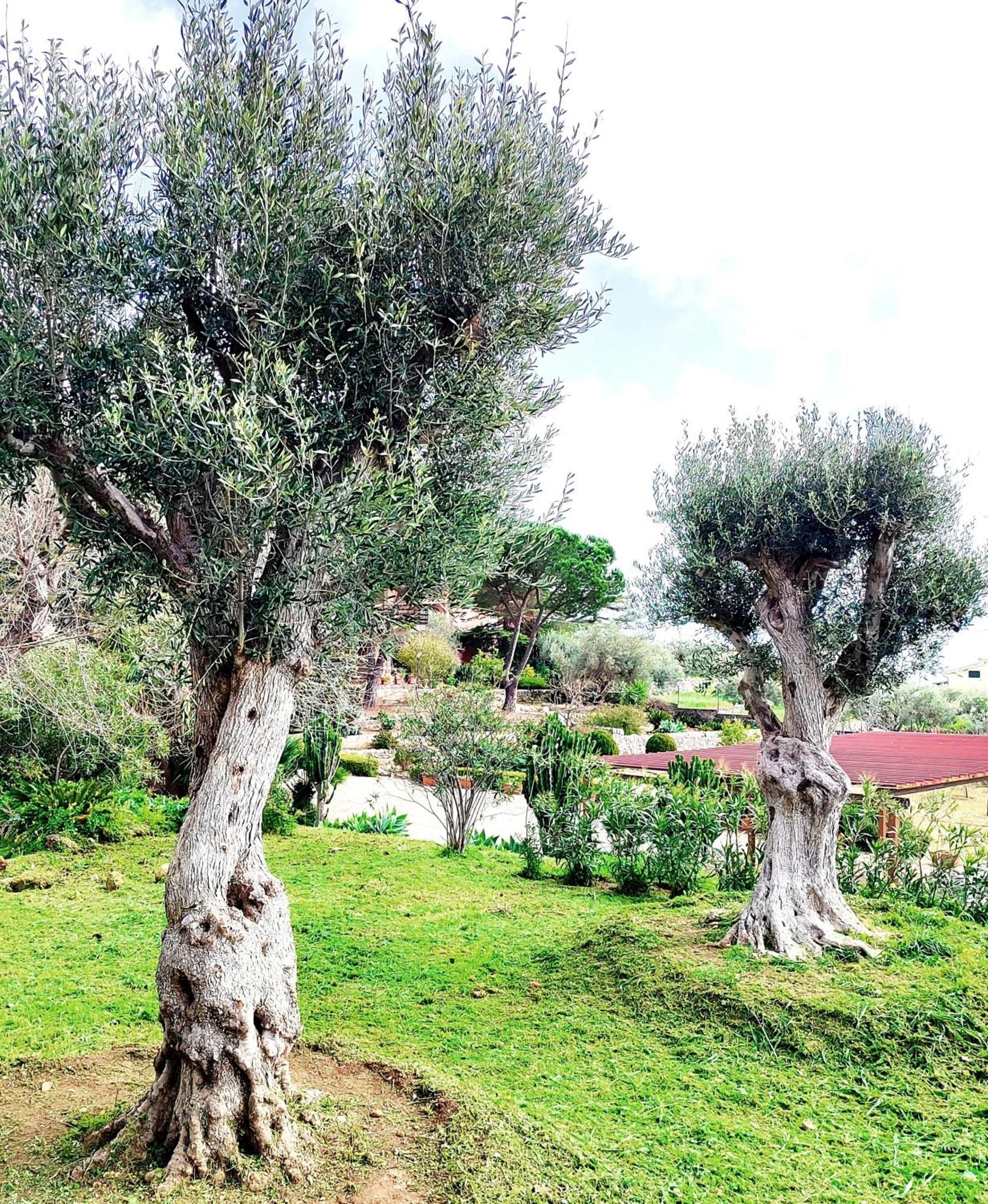 Villa Orizzonte Sullo Jonio Avola Exteriör bild